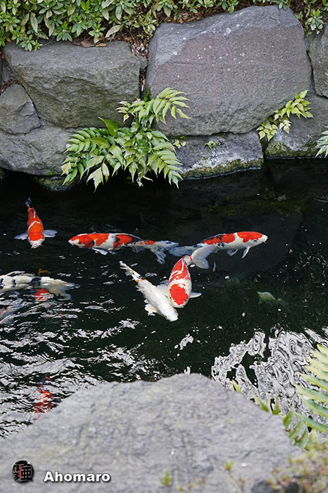 写真00