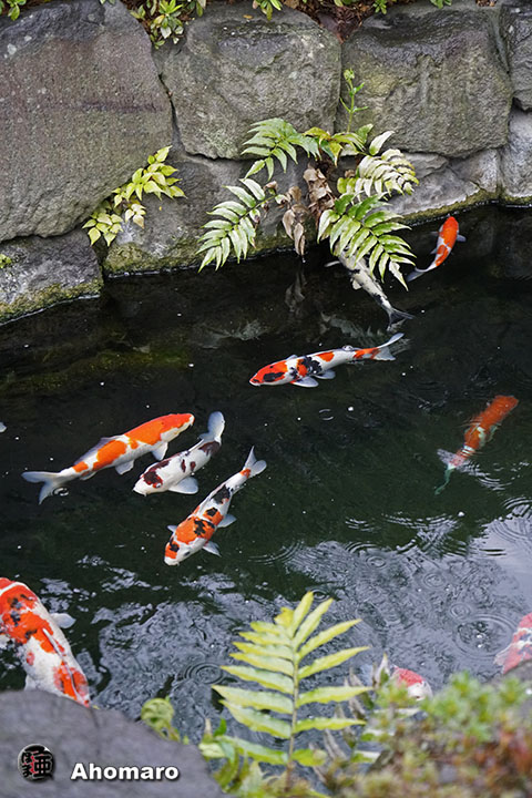 写真00