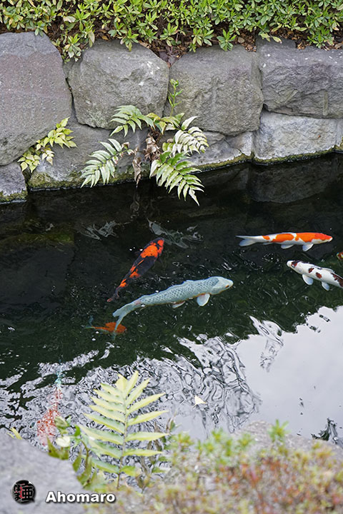 写真00