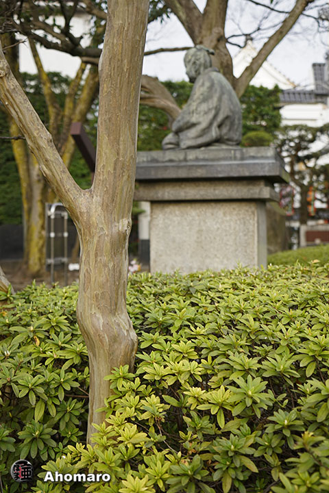 写真00
