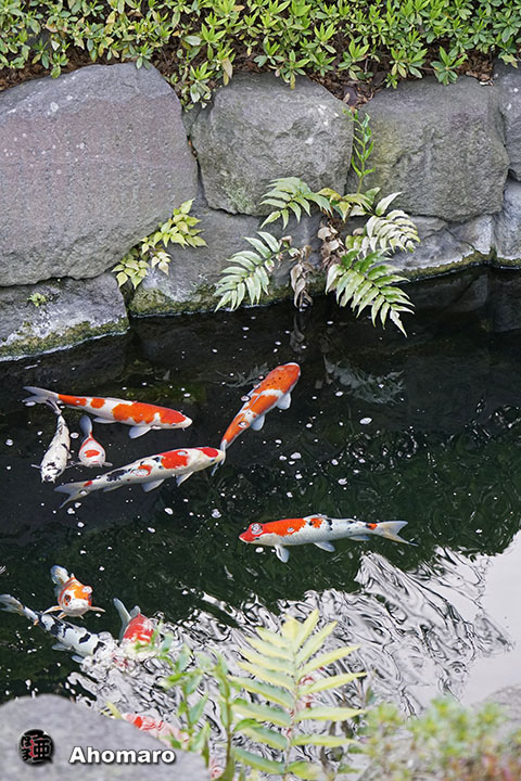 写真00