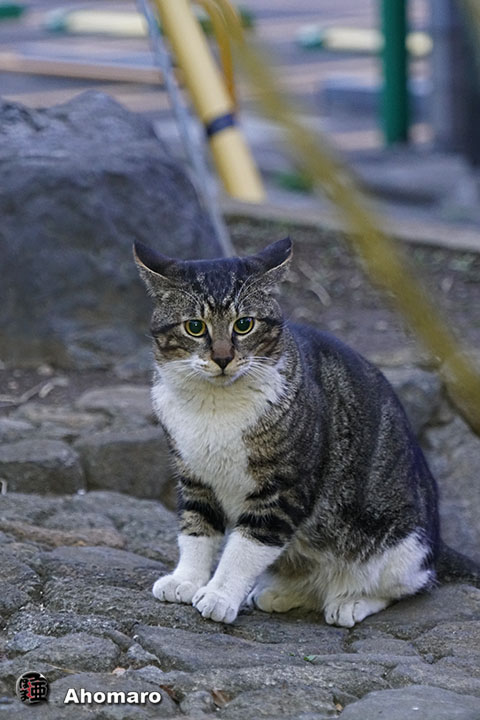 写真00