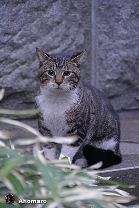 写真00
