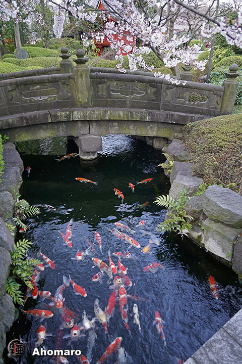 写真00