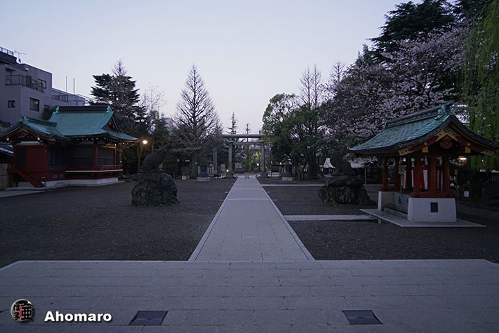 写真00