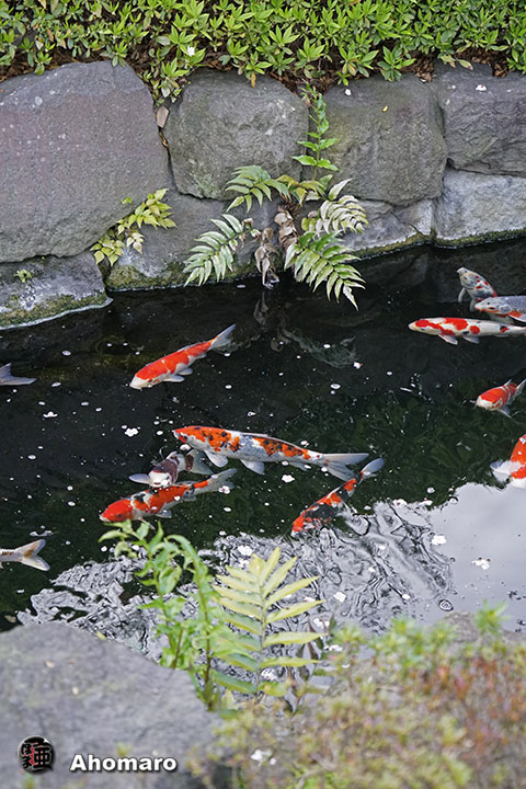 写真00