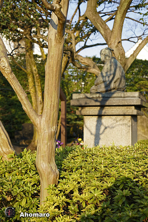 写真00