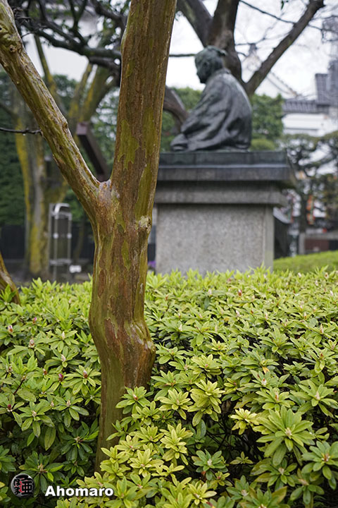 写真00