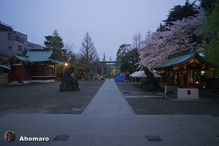写真00