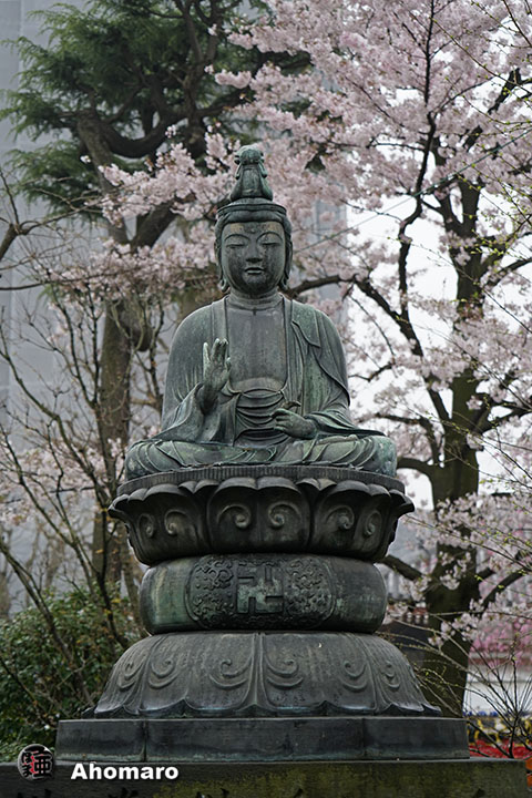 写真00
