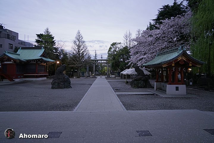 写真00