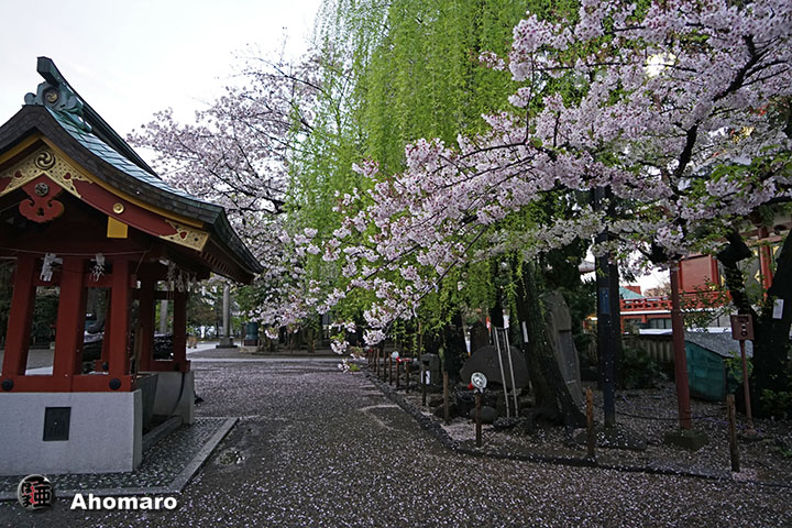 写真00