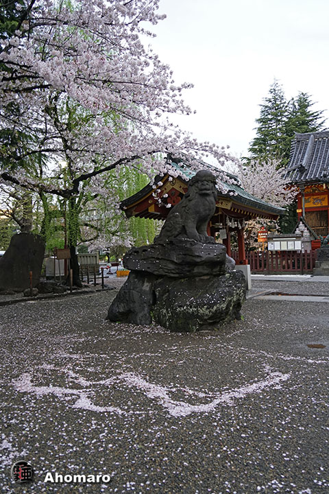 写真00