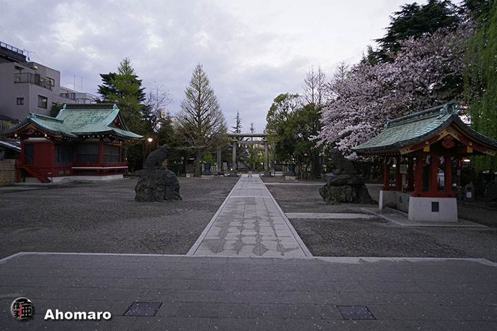 写真00