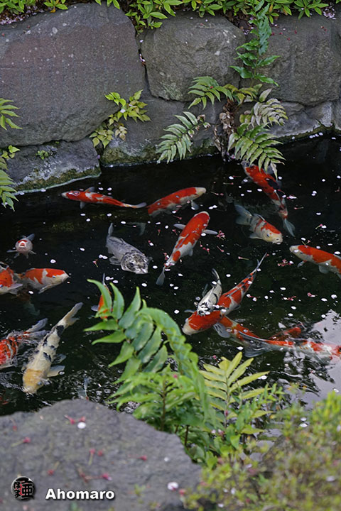写真00