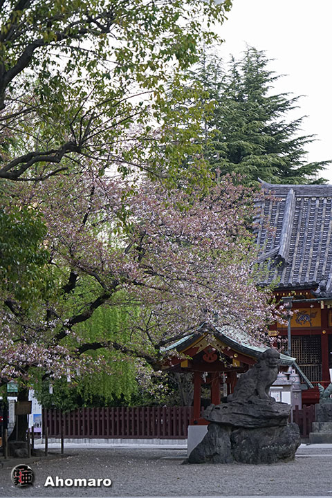 写真00