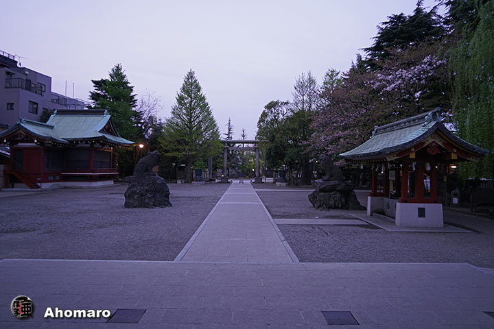写真00