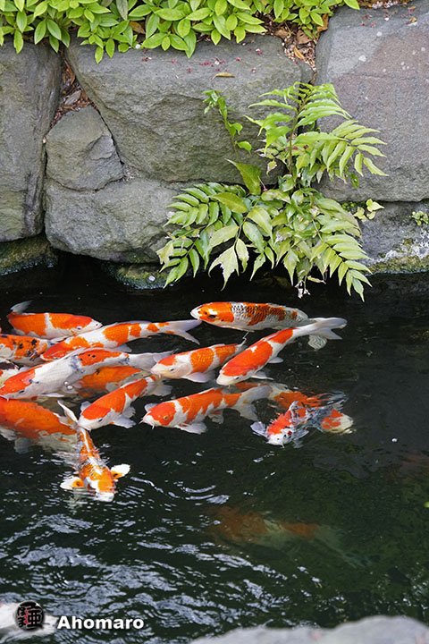 写真00