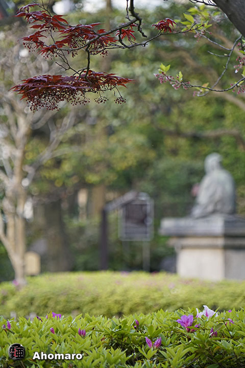 写真00