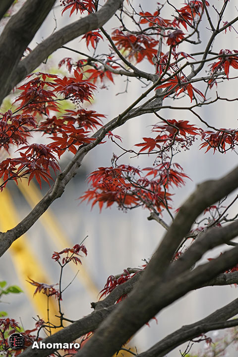 写真00