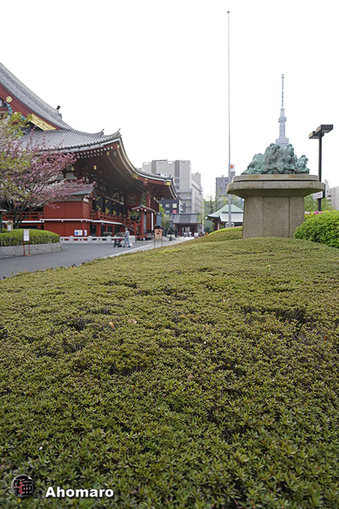 写真00