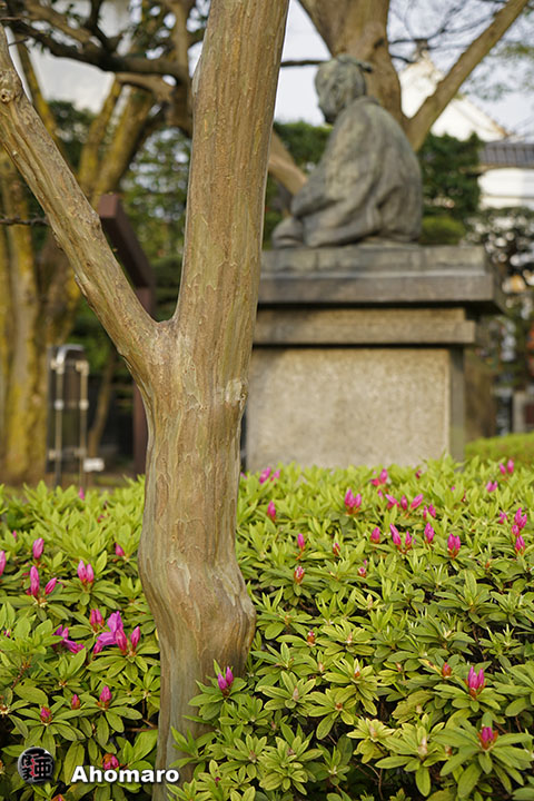 写真00
