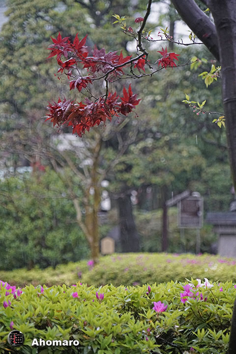 写真00
