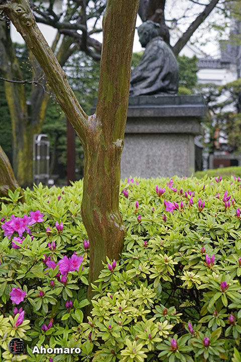 写真00