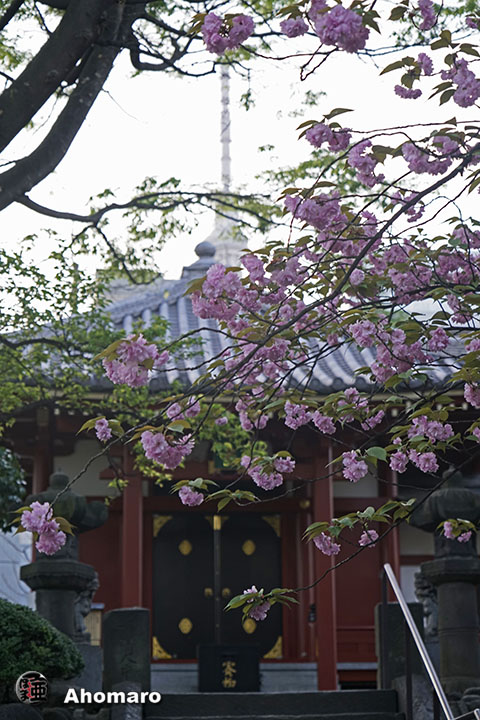写真00