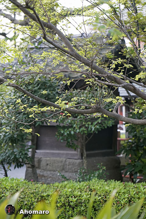 写真00