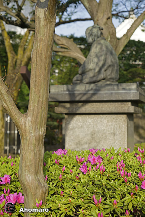 写真00