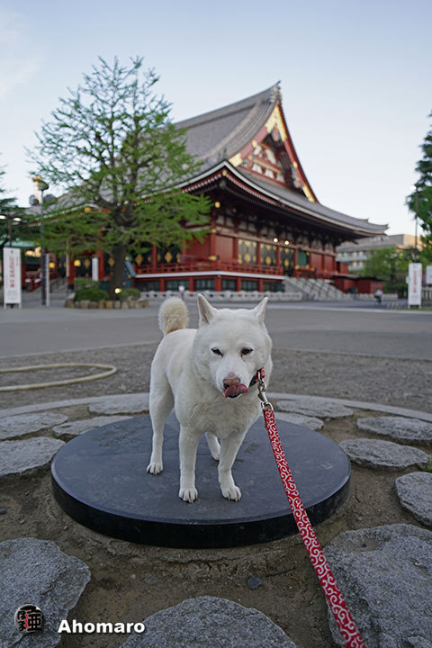 写真00