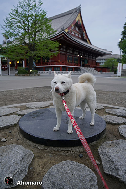 写真00