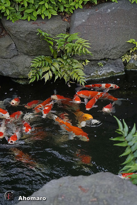 写真00
