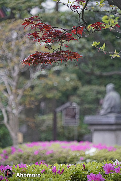 写真00