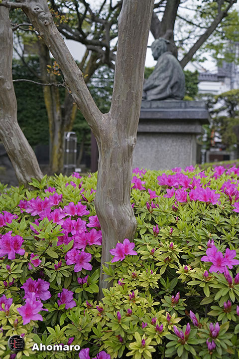 写真00
