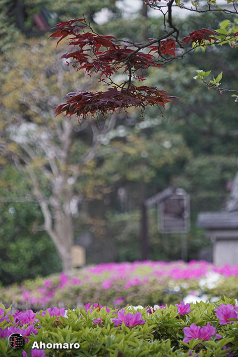 写真00