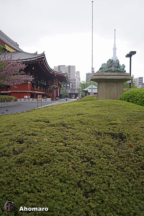 写真00