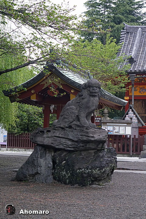 写真00