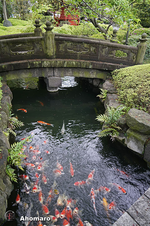 写真00