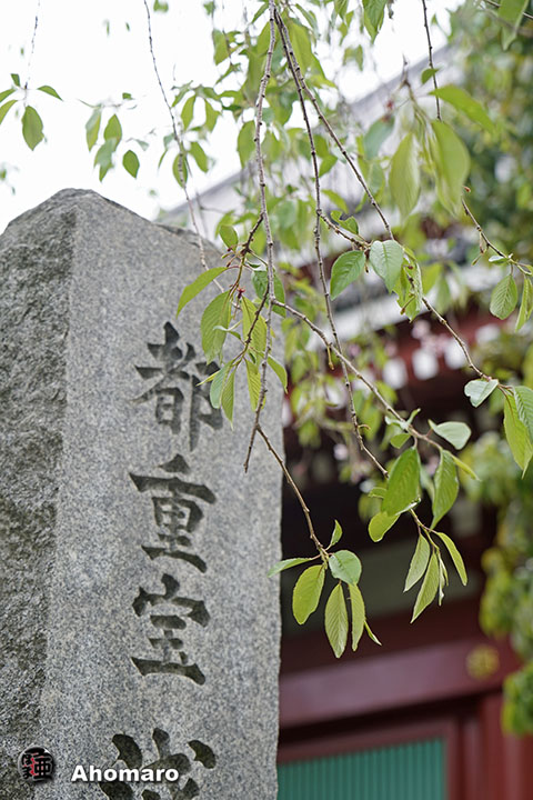 写真00