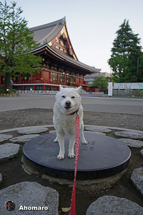 写真00