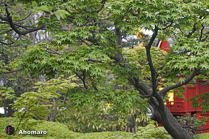 写真00