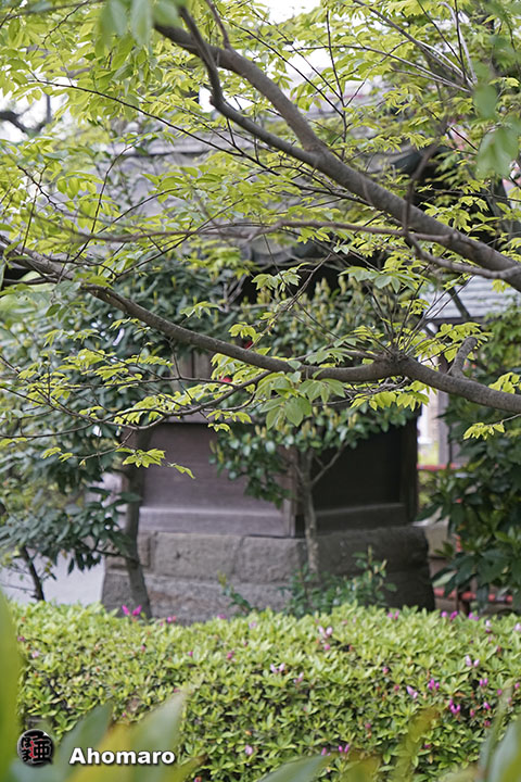 写真00