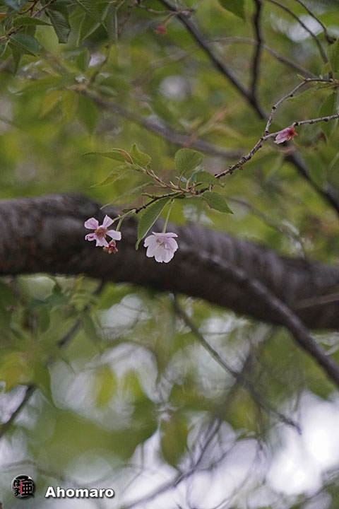 写真00