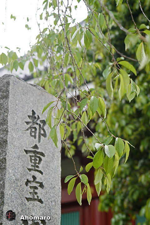写真00