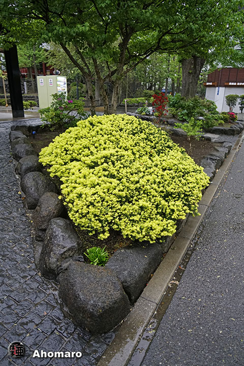 写真00