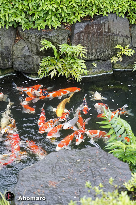 写真00
