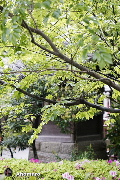 写真00