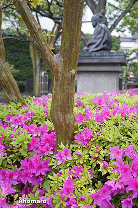 写真00